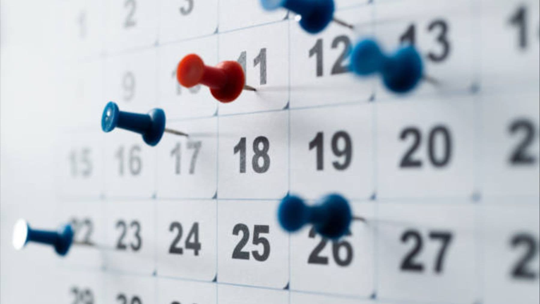 España confirma macropuente educativo que impulsa economía