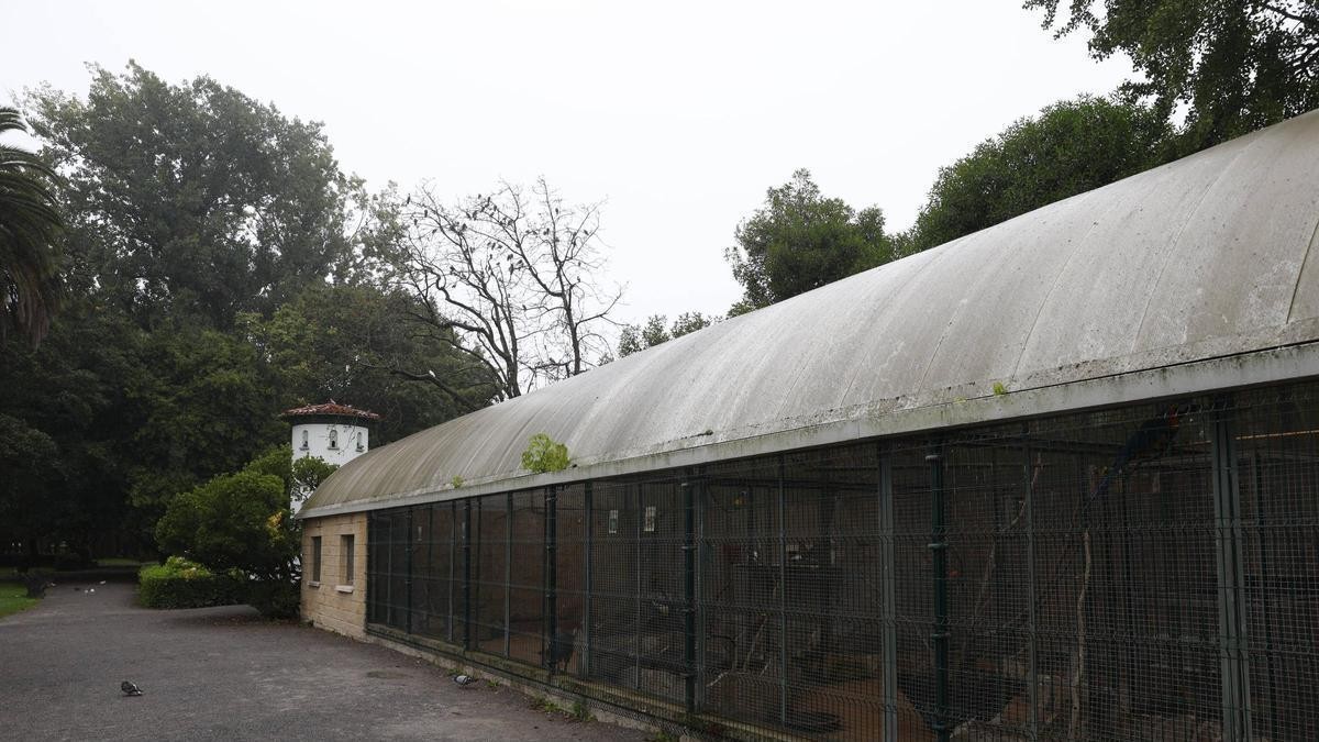 Árboles y zonas para perros: las deudas pendientes del parque Isabel La Católica